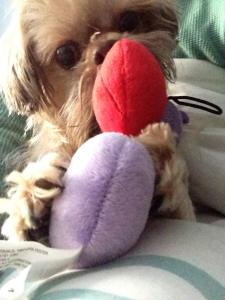 Sunny - 2yrs of being a diabetic.