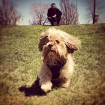 10285446_10152362991733624_2061260409_o