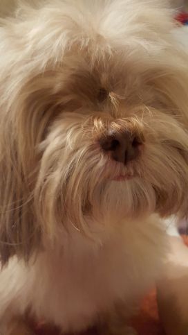 12334253_10153771573338624_1991707298_o