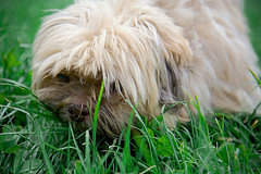 28180_390515363623_718545_n