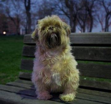 300642_10150293777873624_3201764_n