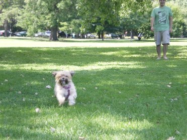 319462_10151103069273624_463596340_n