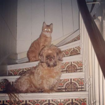 12193607_10153713496258624_2815064786915449776_n