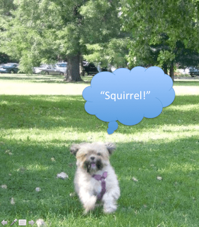 screen-shot-2016-09-15-at-10-31-49-pm