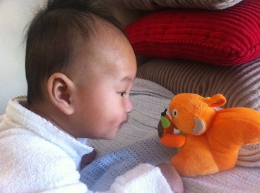 e-and-a-stuffed-squirrel